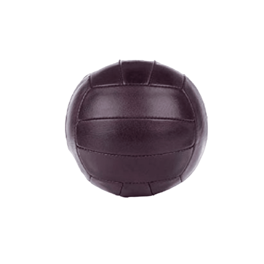 Vintage Leather Volleyball