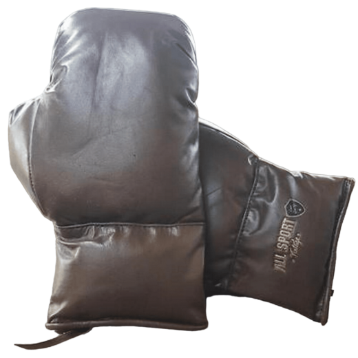 Gants de Boxe en Cuir Vintage