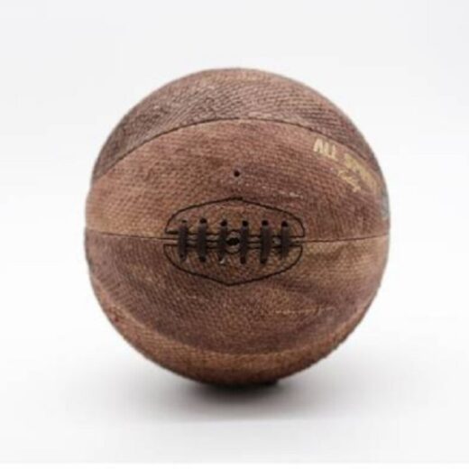 Ballon Basket Cuir Vintage “Gasthon” en Cuir de Poisson