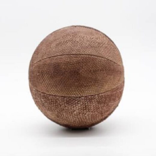 Ballon Basket Cuir Vintage “Gasthon” en Cuir de Poisson