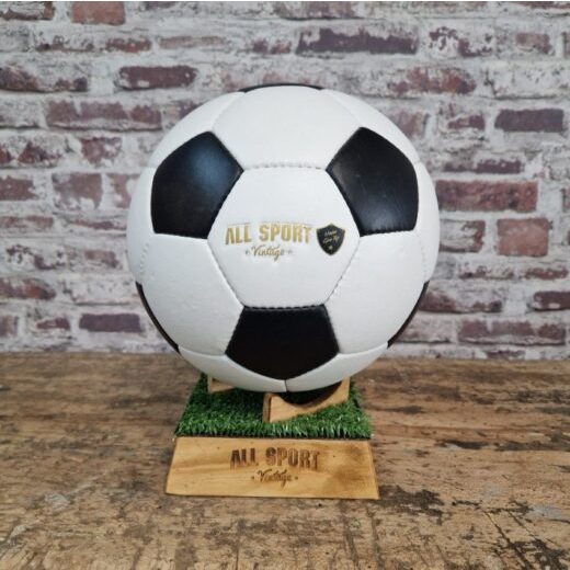 Pack Ballon de Foot Vintage en Cuir + Support