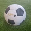 Pack Ballon de Foot Vintage en Cuir + Support