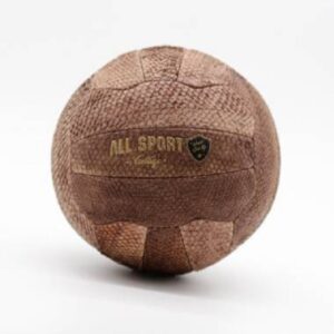 Ballon de Foot Vintage en Cuir de Poisson Gasthon