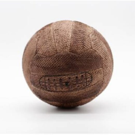 Gasthon Fish Leather Football