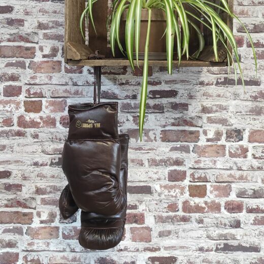 Gants de Boxe en Cuir Vintage