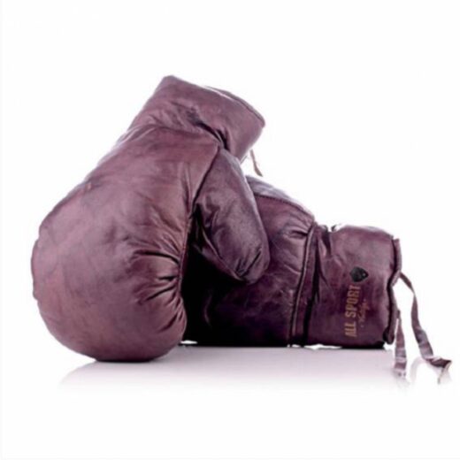 Gants de Boxe en Cuir Vintage