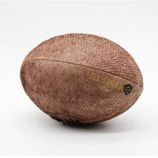 Ballon de Rugby Vintage en Cuir de Poisson Gasthon