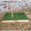 Support Ballon “Le Sénior Massif” Naturel Green