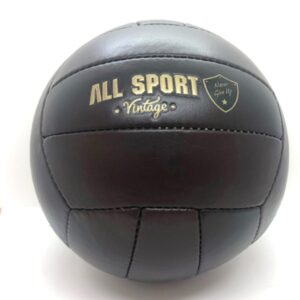 Vintage Leather Volleyball