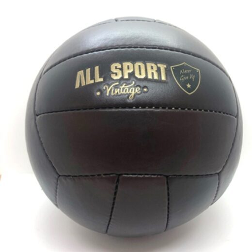 Ballon de Volley En Cuir Vintage