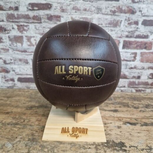 Pack Ballon de Volley en Cuir Vintage + Support